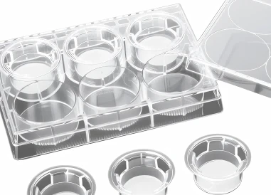 Cell Culture Plate Insert Cell Culture Plate Insert